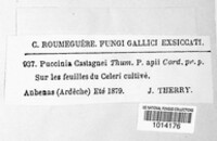 Puccinia thuemenii image